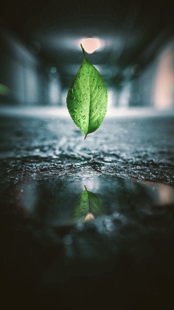 CLEANBOSS2's tweet image. MAKING PEACE WITH NATURE IN THE 21st CENTURY IS A PRIORITY
🌏
#Evolve #Progress #fossilfuel #ClimateAction #Nature #think #Patience #photography #Smart #Artistic #Art #Expression #Reflect #Pinterest  #creative #Vision #Innovation #LifeLessons #Mindset #GoGreen #Sustainability
🌏