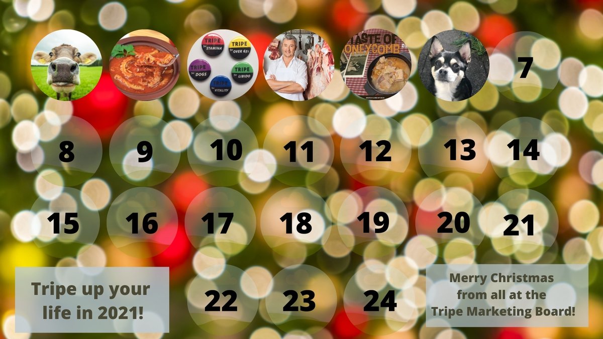 TripeUK's tweet photo. Day 6 of the TMB's #Tripevent Calendar - and hiding behind the door is Peepee the Aye Chihuahua, winner of #TripeDog2020  

https://t.co/GE4eNCtkkn https://t.co/AaOSchfYXF