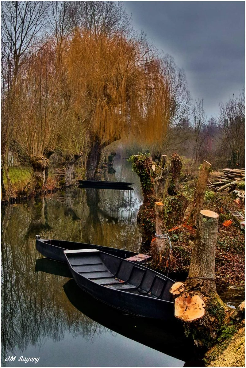 lessabotsbleus's tweet photo. Le Marais Poitevin dans son habit d'hiver...
https://t.co/IAYYCsl6Oo https://t.co/k7JMFIYdBU