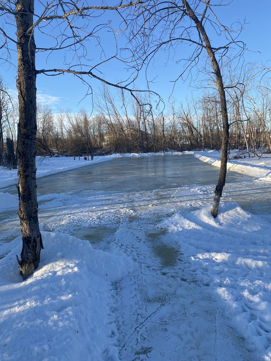 PopsTops73's tweet photo. Time for a Sunday morning flood.
#backyardrink https://t.co/IYoY4LSf35