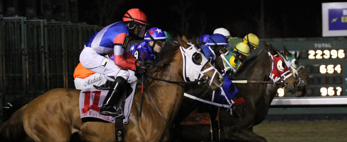 BGRacingClub's tweet photo. Bluegrass Racing Club 2021 is open and accepting new members!  Experience the thrill of thoroughbred ownership at a fraction of the cost!  Currently hoping to be racing this winter @TurfwayPark ! 
Contact us or @drog2442 for more info! https://t.co/HhgXxQO8ml