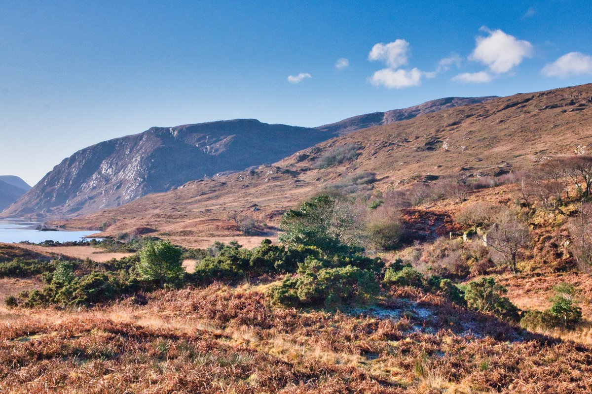 In <a href="/GlenveaghPark/">Glenveagh park</a> winter sun....cracking morning. <a href="/govisitdonegal/">Donegal Tourism</a> <a href="/wildatlanticway/">Wild Atlantic Way</a>