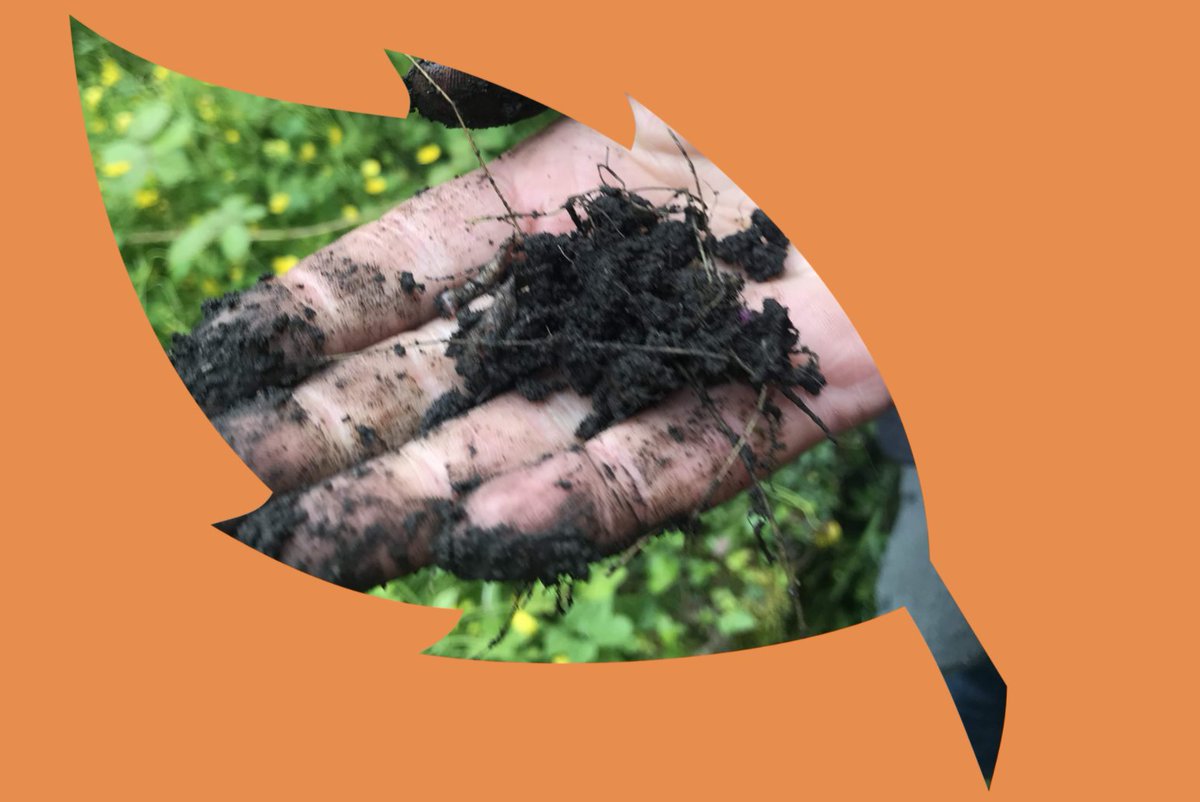 HinterlandsWAL's tweet photo. 🌎 Llinos Anwyl (@henbapur), GELWIR YR AFON YN AMSER,
🌍 @CerysHafana, YR HAWL I WRANDO,
🌏 @DylanHuw, COF PERFFAITH.
 
Darllenwch y tri ysgrif creadigol newydd, sy’n ymateb i raglen Sgyrsiau Cegin y Storm gan Peak Cymru, ar https://t.co/a5NJcita1j https://t.co/qTZcKDCrTy