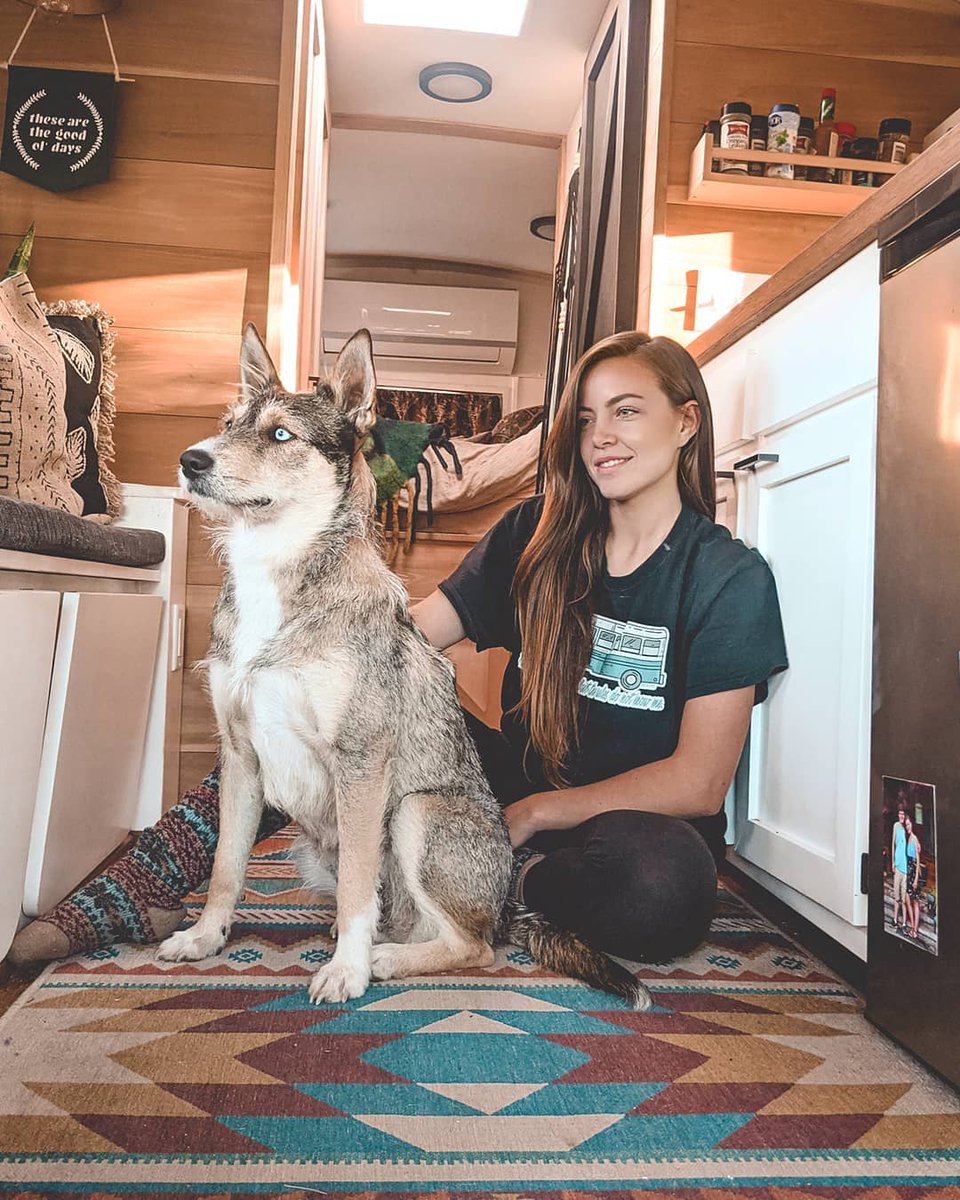 🔦Pet Spotlight- @regretlyss- Rio is the epitome of a Wild Earth doggo, living his life on the wild side with his mom in a fashionable & cute bus! He gets to experience things most people dream of! 📸:@regretlyss . #siberianhusky #wildearth #huskylife #buslife #wildearthpets