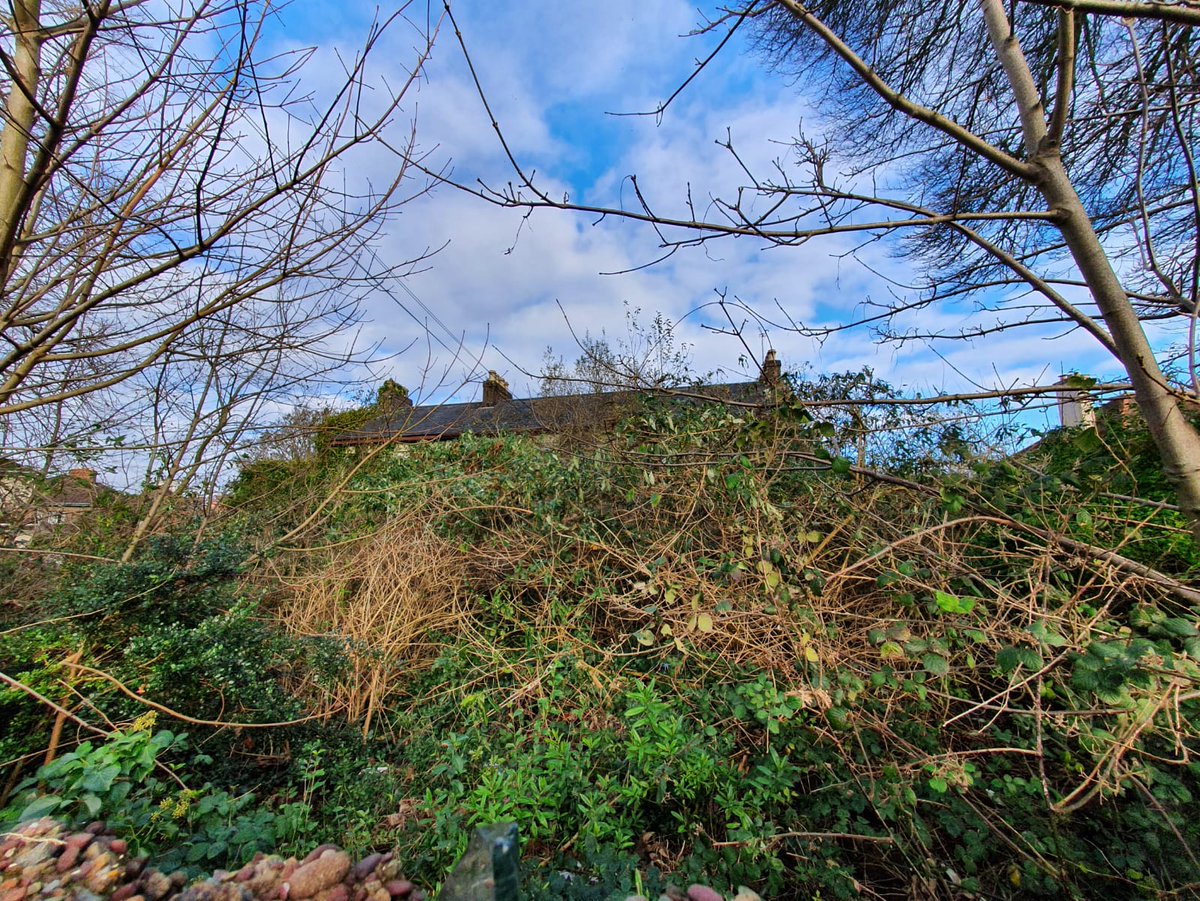 "one of the earliest houses in this area of the city, and though much altered, constitutes an important part of the architectural heritage of this area" [ @NIAH_Ireland]our love-hate relationship with property, architecture & heritage seems to have no bounds No.205  #Cork