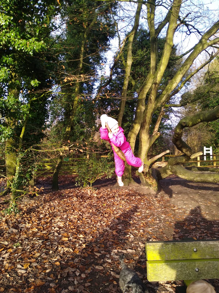 stac_ey_b's tweet photo. Lovely weekend zoo lanterns cold walk round the woods and Robyn Christmas dance show #weekendvibes #tistheseason #ZooLights #ChristmasIsComing #coldwalks https://t.co/G6oYZW8TYX