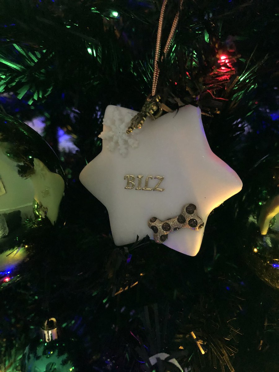 bilz1westie's tweet image. Trees are up 🎄 my friend @PaulAtk52540619 Me absolutely exhausted 😅 #NeedaRest #Westie