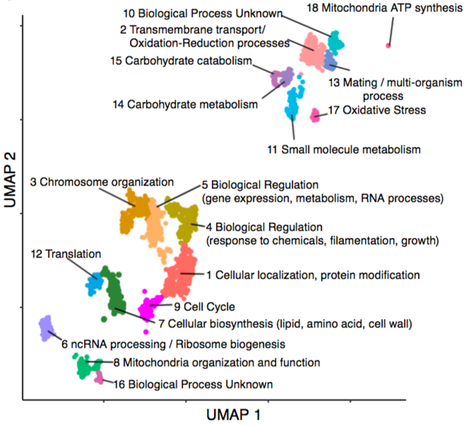 We asked if there was enough RNAseq data to build a useful co-expression network for Candida albicans for gene function prediction. It turned out to work amazingly well!
