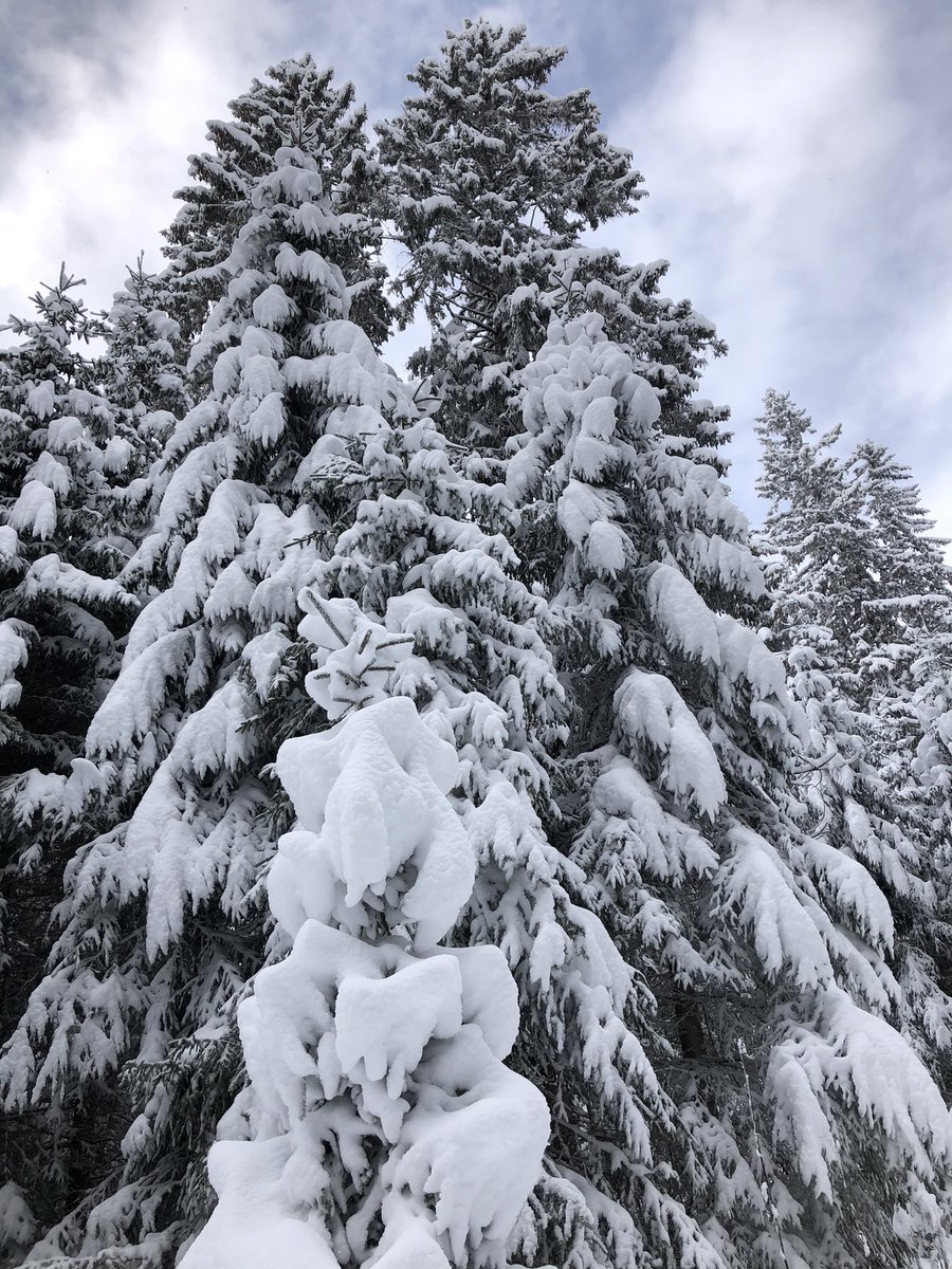 alpe2000ch's tweet photo. Dimanche 6 décembre. Début de la saison hivernale sur les pentes enneigées du Chasseron❄️☃️. 😉🤩🤗👍 https://t.co/uAVQ7qgBTF