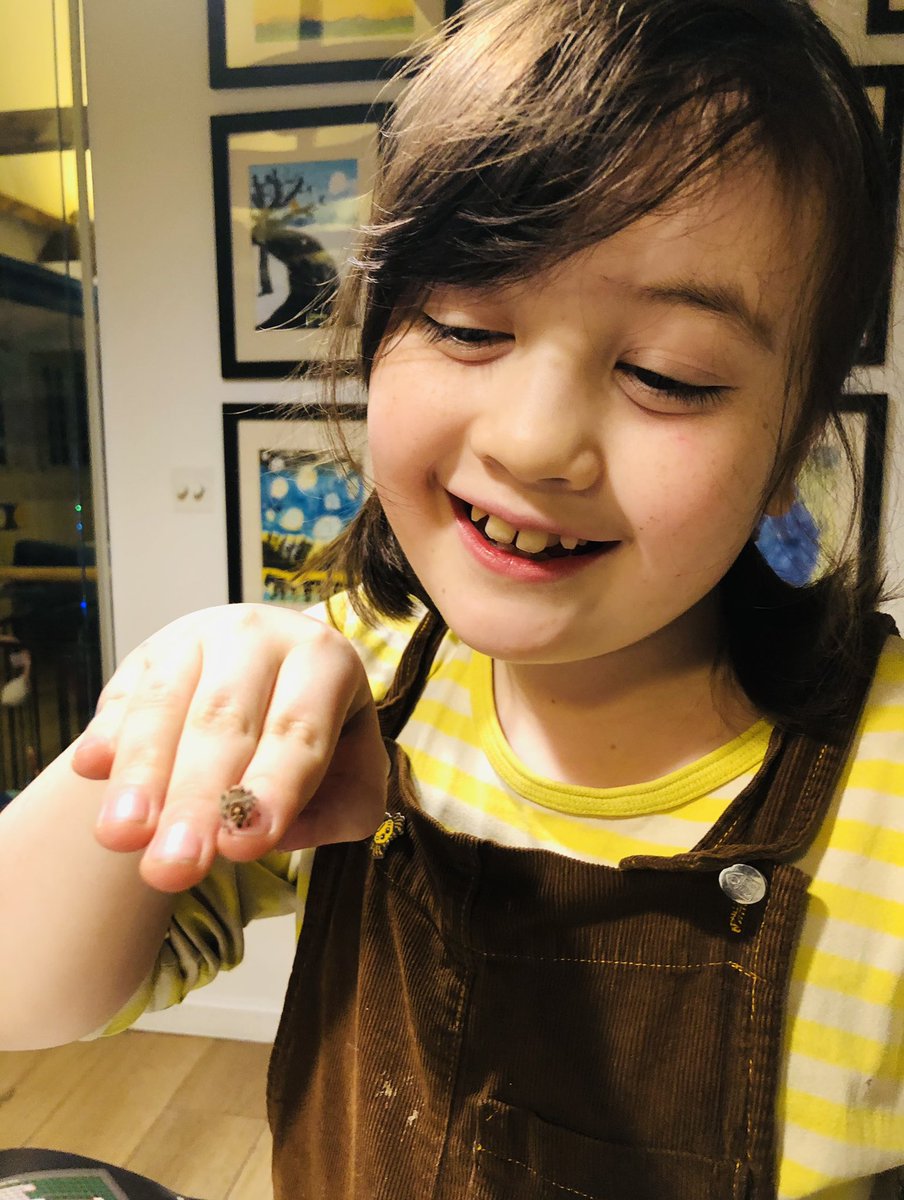 IslaButton's tweet photo. Just a girl &amp; her spider 💚🕷 https://t.co/YfLc3IX4bh