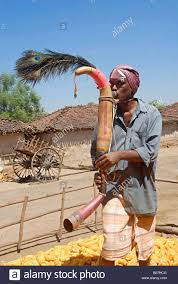 Tarpa wind musical instrument played by Warli,kokani,dhodia, few say koli also? indigenous community Adivasi? in Maharashtra/Gujarat during festive occasion accompanied with Tarpa Dance