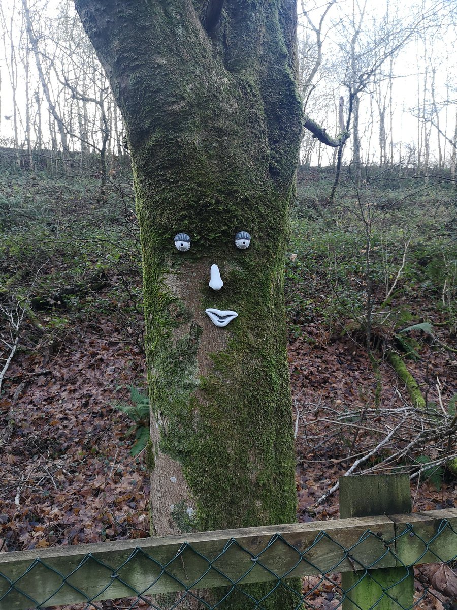 Glanmire Fairy Trail tweet media
