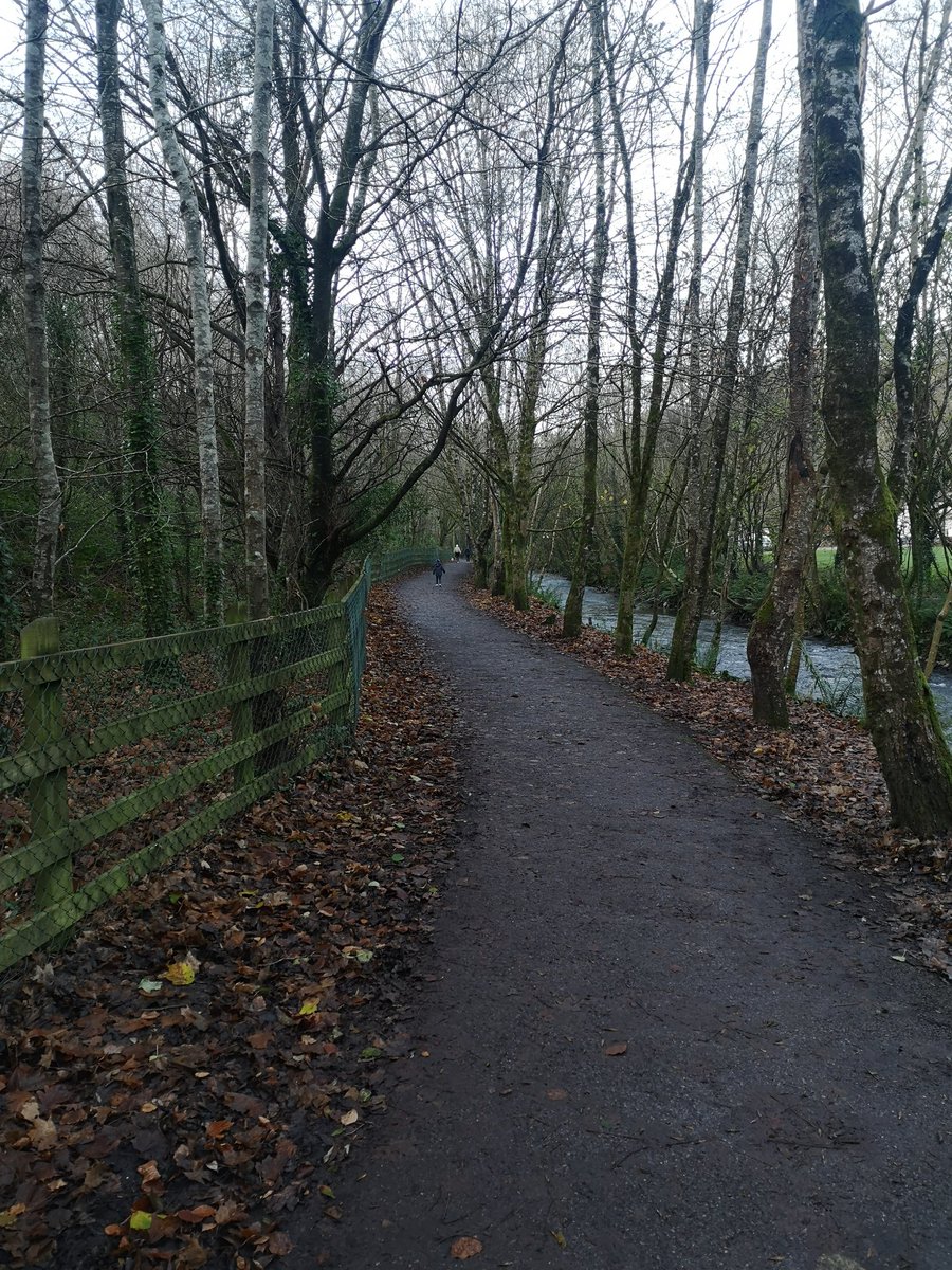 Glanmire Fairy Trail tweet media