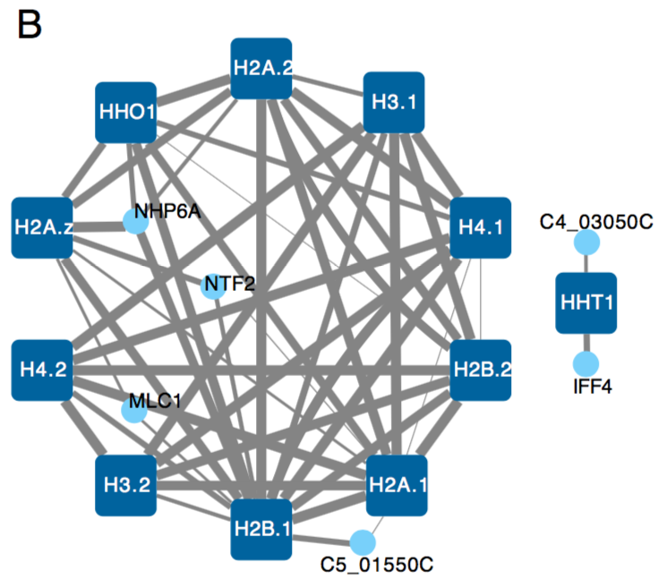 To explore the network, we looked first at known gene clusters. Eg. Histones proteins cluster except for HHT1, consistent with recent findings in  https://journals.plos.org/plosbiology/article?id=10.1371/journal.pbio.3000422
