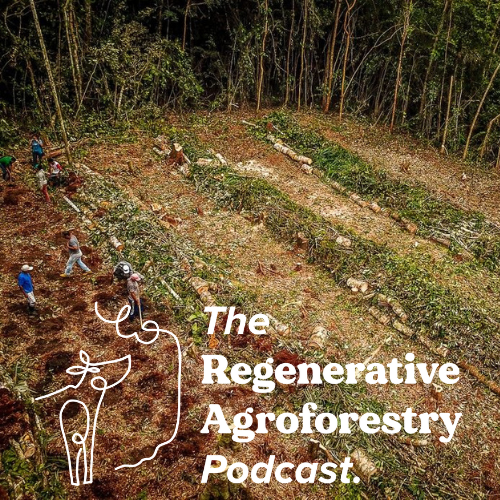 Regagroforestry's tweet photo. Next up... PRETA TERRA, a leading agroforestry consultancy company based in Brasil, is talking to us about their recent projects showing us how they design and implement modular and complex #agroforestry systems. 

LINK HERE https://t.co/EglJV3l77f

#regenerativeagriculture https://t.co/GBtUcfx7Cd