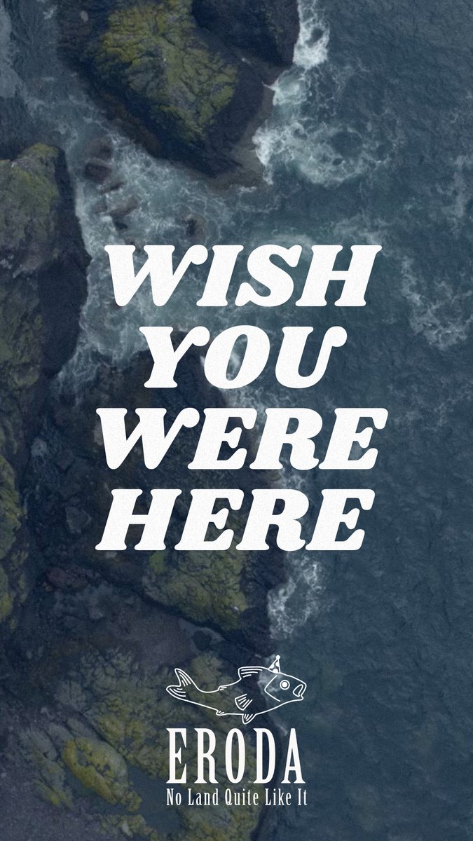 visiteroda tweet media