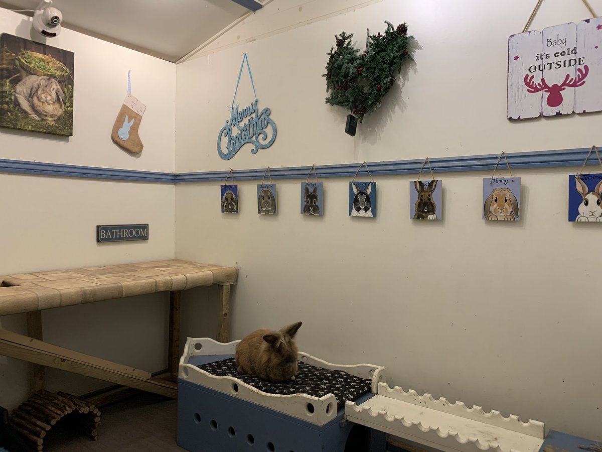 New shelf and Christmas ready 🐰 🐰 🎄