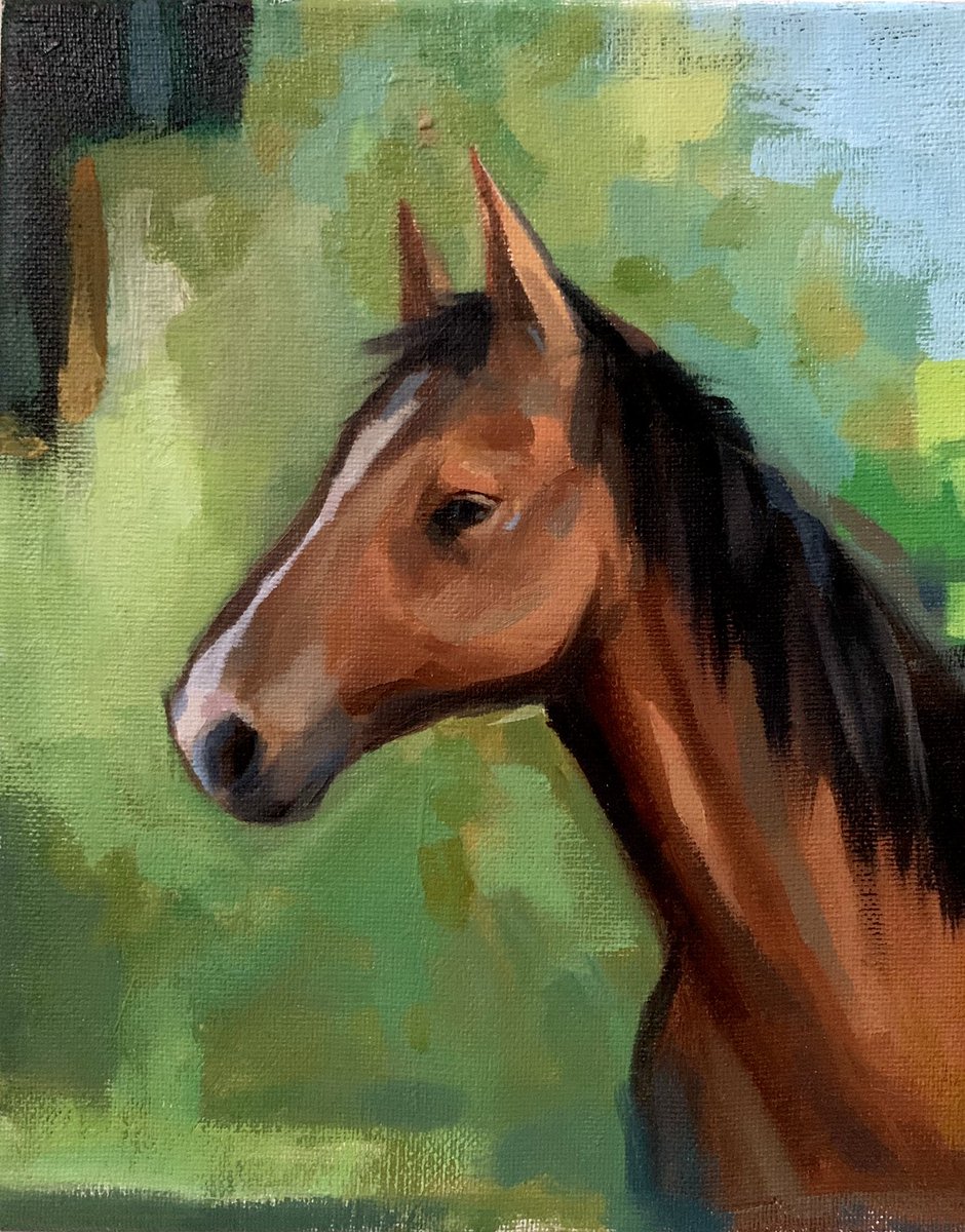 Alfred the Horse - pet portrait- oil painting 10x8 inches on stretched canvas. 

etsy.me/37Er3d3
#pet #petportrait #comissionportrait #portrait #art #artwork #horse #Horses #horsepainting