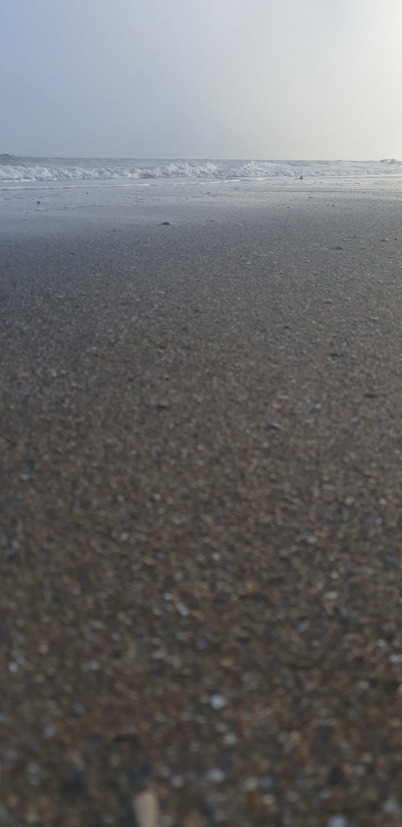 Foggy day #Rosslareharbour