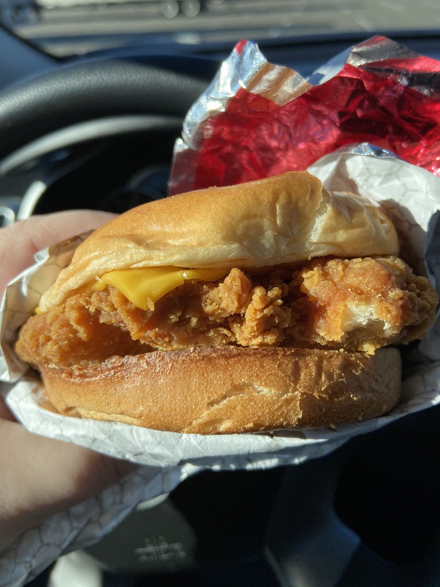 EDZElizabeth's tweet photo. @Wendys please tell store 8941 that this is not a hamburger, thanks https://t.co/4BJI5jQQvd
