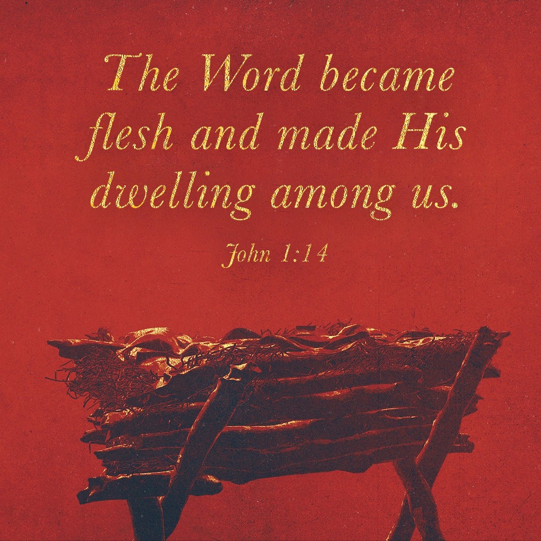 gracepolaris's tweet image. #SundayScripture #John1v14
