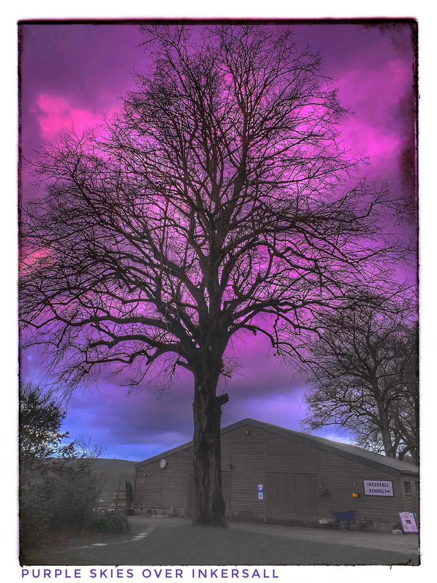 #sundayvibes #sunsetphotography strange coloured skies tonight! #adoreyourday