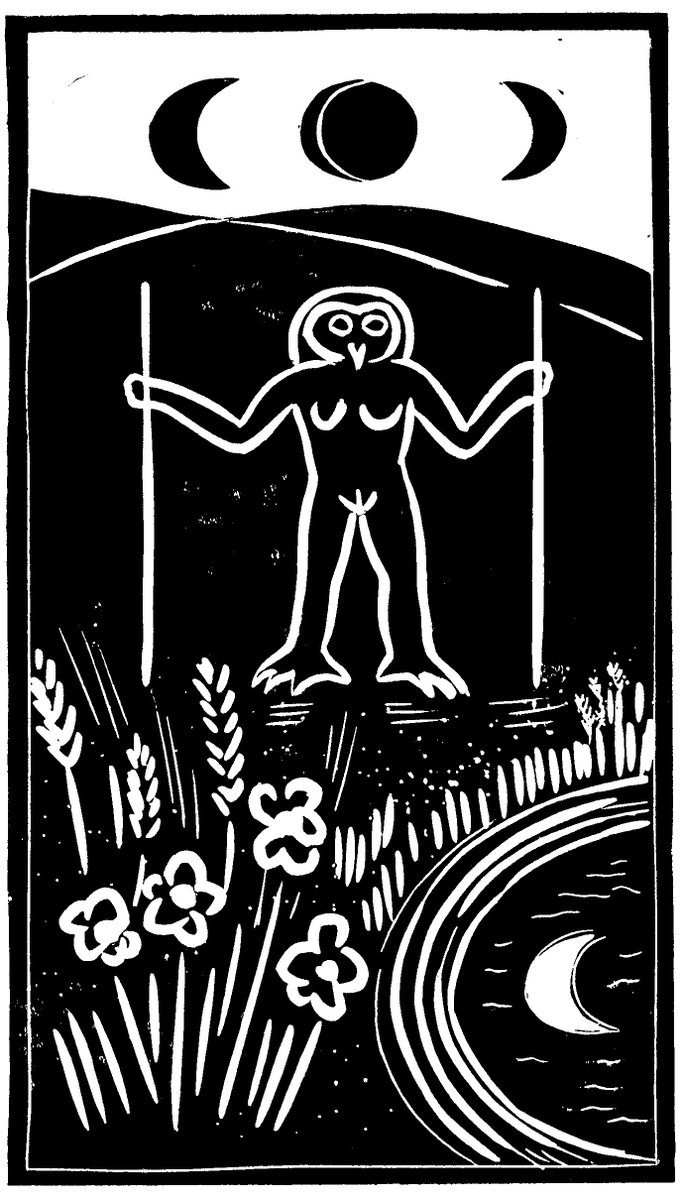 MariaStrutz's tweet image. The Long Lost Owl of Hookland...