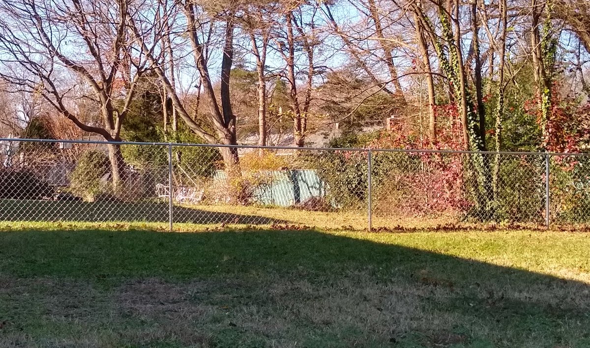 We had this chain link fence installed last week and they wanted $500 to install a gate. I knew I could do it for cheaper so I am going to build a wooden gate for $100 today!