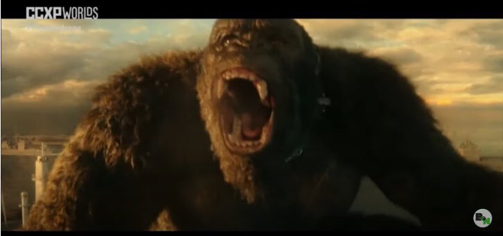 GodzillaLets's tweet photo. Godzilla and Kong!!!  #GodzillavsKong https://t.co/MiTqpJhPJR
