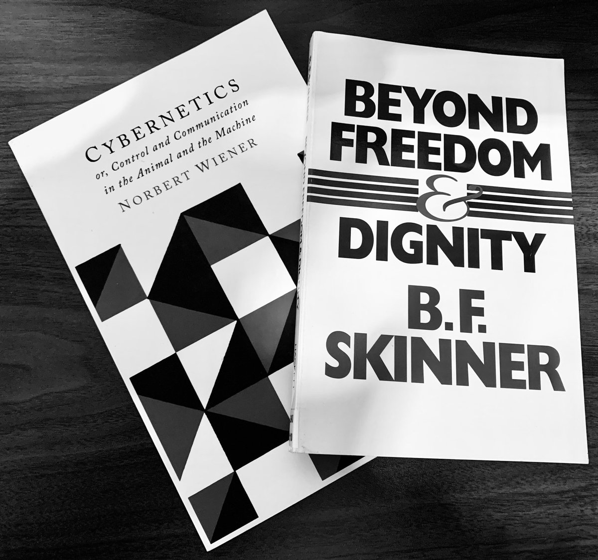 DrSyedMustafaA1's tweet image. Among the scriptures of the control society. #cybernetics #DataColonialism #surveillance #RacialCapitalism #PoliticalTheology