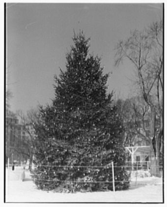 The next year, Halifax sent a Christmas tree to Boston as a token of thanks. Starting in 1971, it has been an annual tradition, symbolizing the partnership between our cities and promoting Nova Scotia Christmas tree farms. 16/
