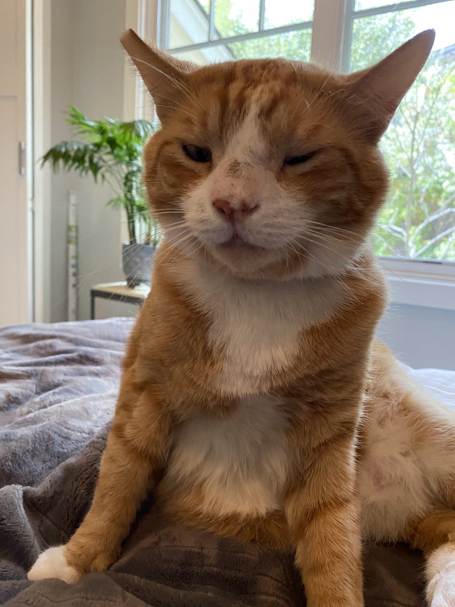 kat 🥺🤠🤡 (@katbarc) Twitter