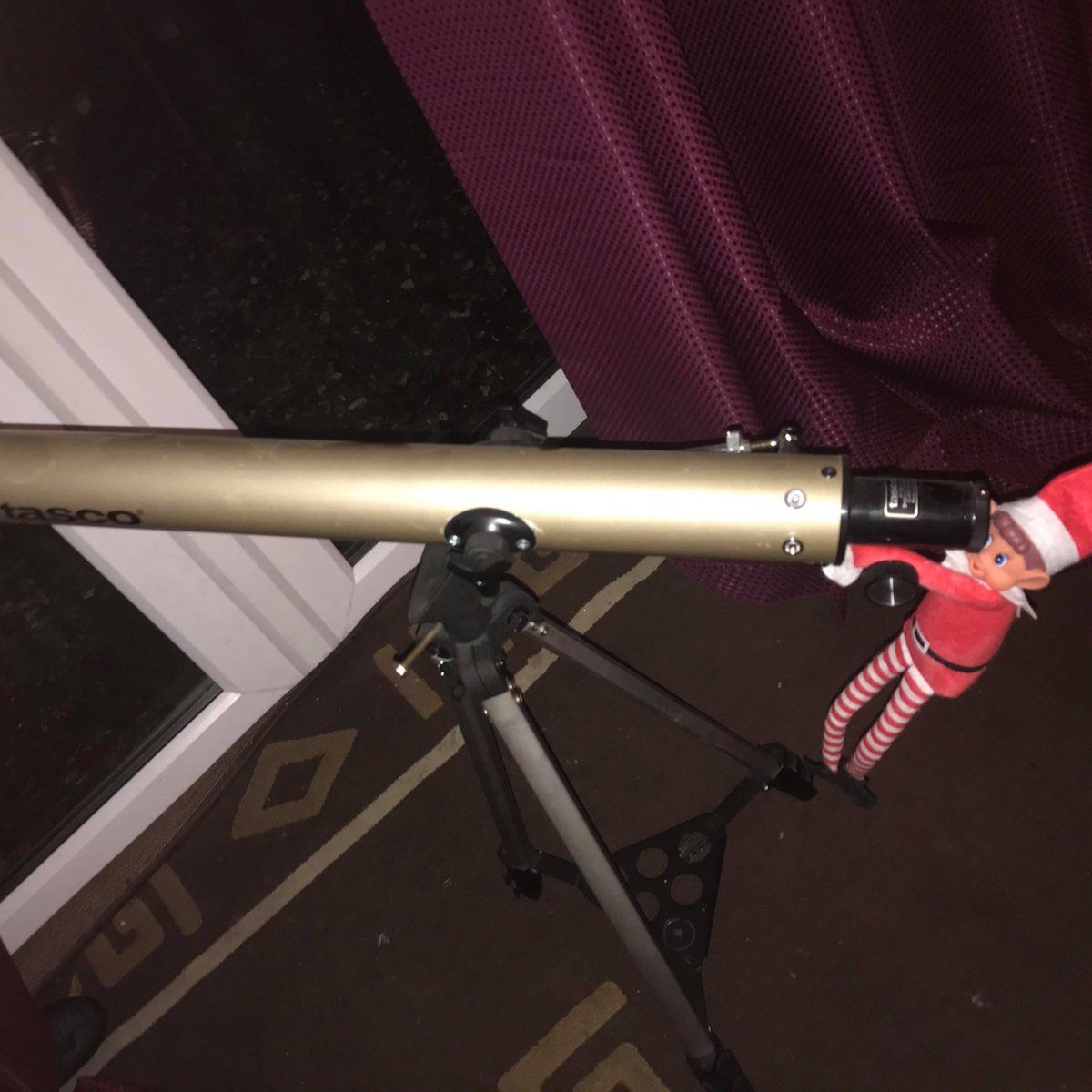 CherryBScouts's tweet photo. Our Scouts love looking up at the stars, not to mention camping under them! There's so much out there for us to see! In the words of former Scout and astronaut Neil Armstrong "Shoot for the stars but if you happen to miss shoot for the moon instead" #Scouts #CountdownToChristmas https://t.co/I3mUIAKH2T