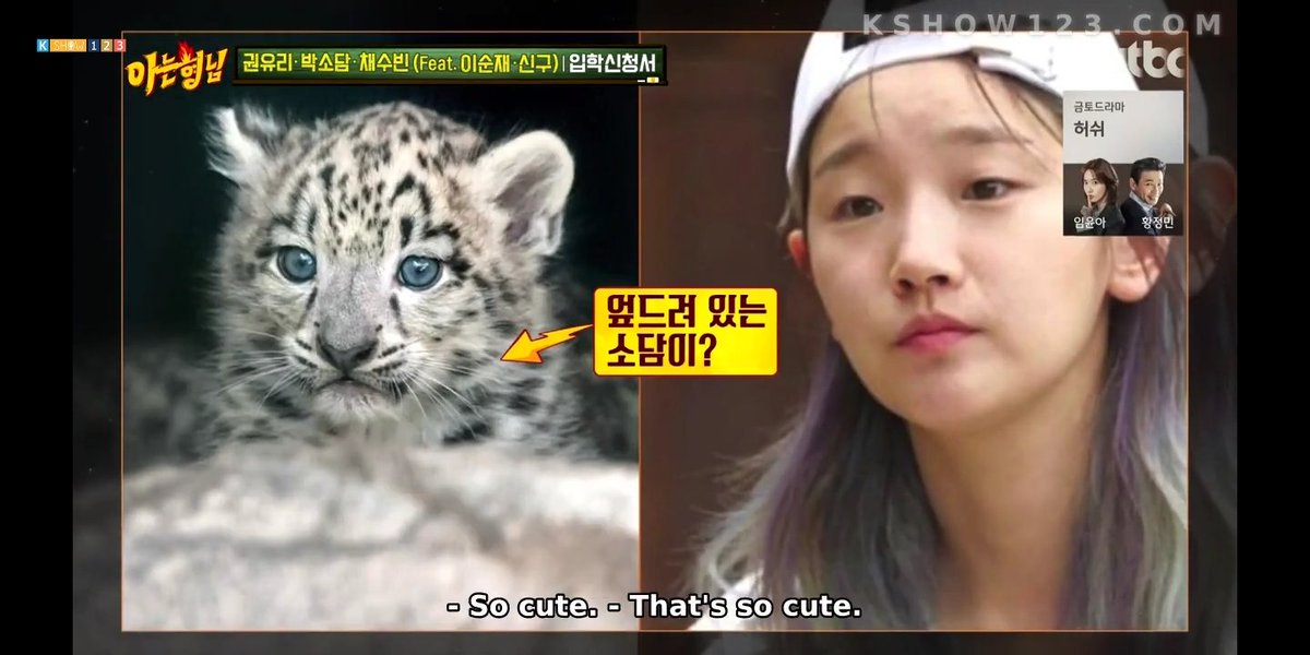 _daisybea17's tweet photo. I see my pattern ๐๐ #ParkSoDam #Hwasa #MAMAMOO #babylion #CutenessOverload #lookalikeanimal #myheartcanthandle #heartexplosion https://t.co/QfYOSLpxFk