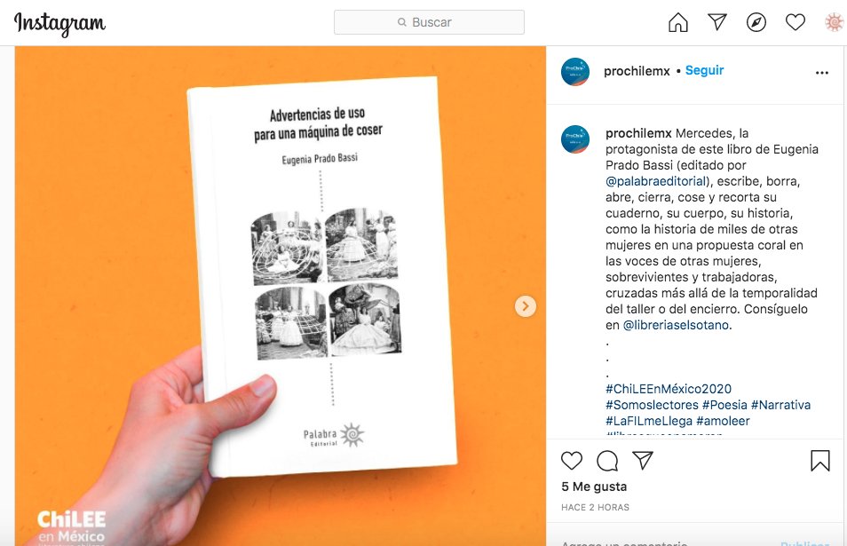 Eugenia Prado tweet media