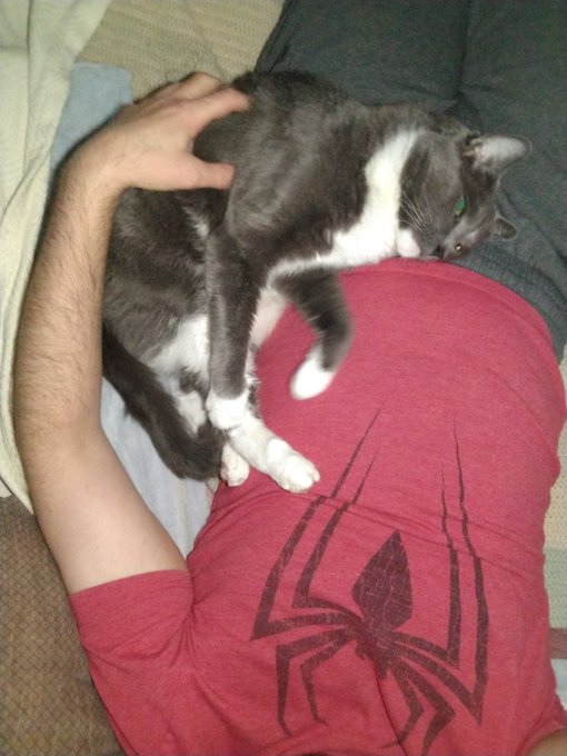 My Toby being comfy :3 https://t.co/xN3r6L3m9R