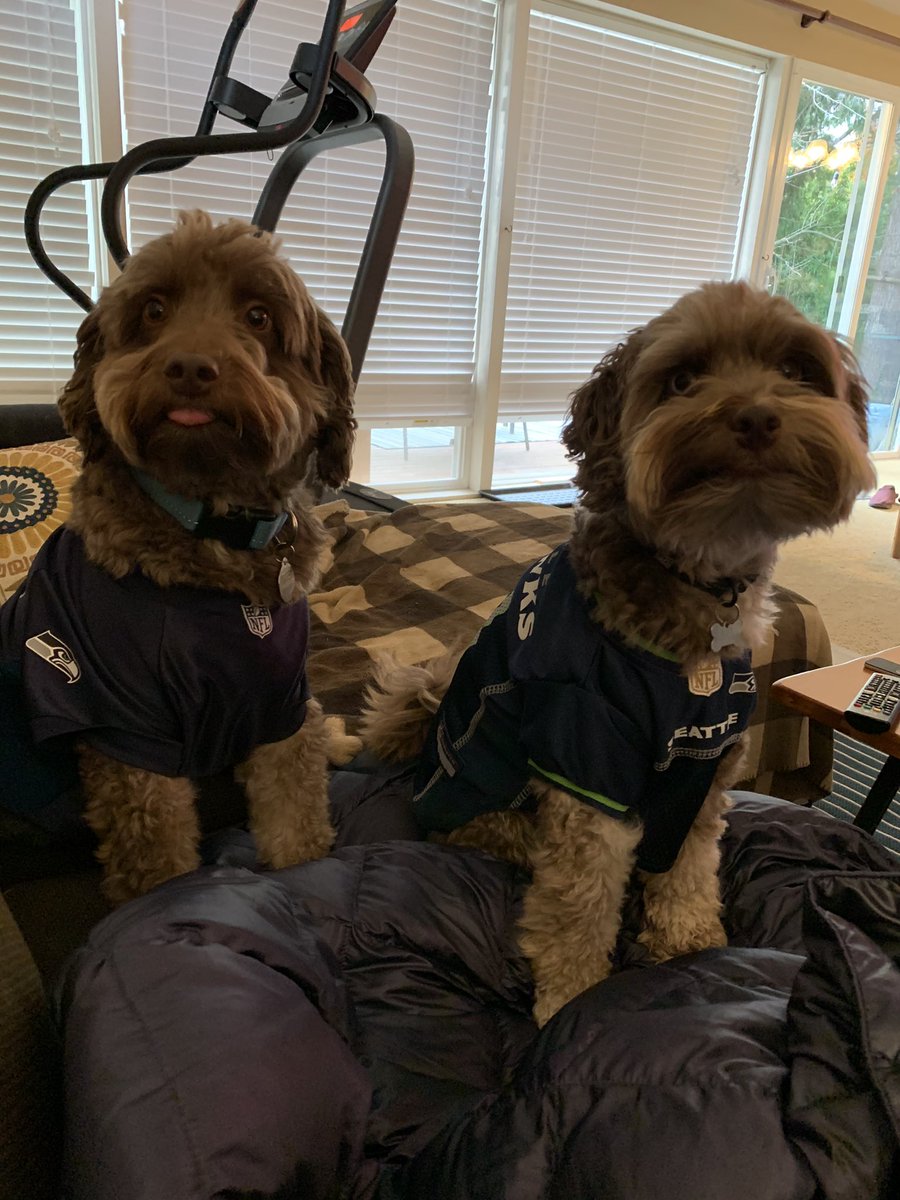 kboehrer's tweet photo. .@DoorDash on behalf of dogs everywhere can you put a less realistic doorbell in your next ads. 4 times they’ve run to the door barking in this game 🐶🚪 https://t.co/iyeTWlWeNA