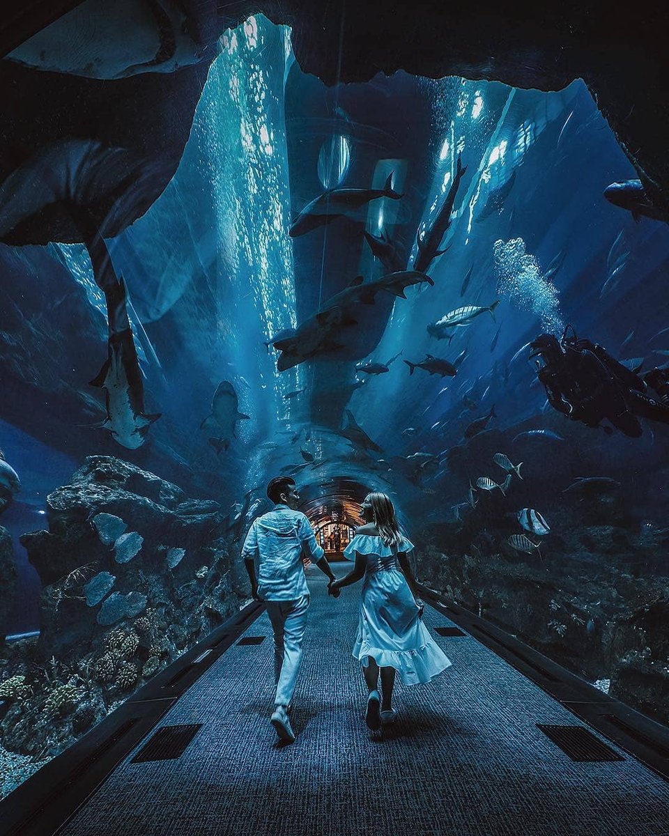 Surround yourself with the sea. #Regram 📸(<a href="/paigunna/">ไปกันนะ : Pai Gun Na</a>)