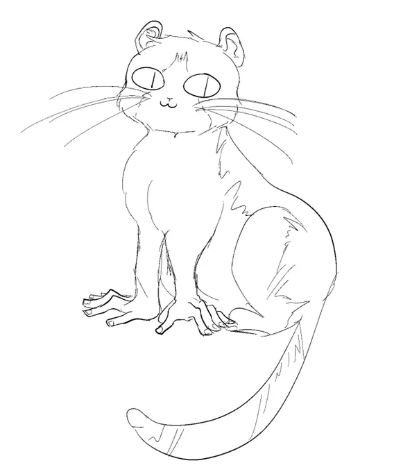 Ykno, nya 