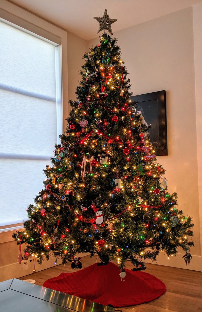 jaimeturner's tweet image. The Turner&apos;s #christmastree #2020edition is up and decorated!