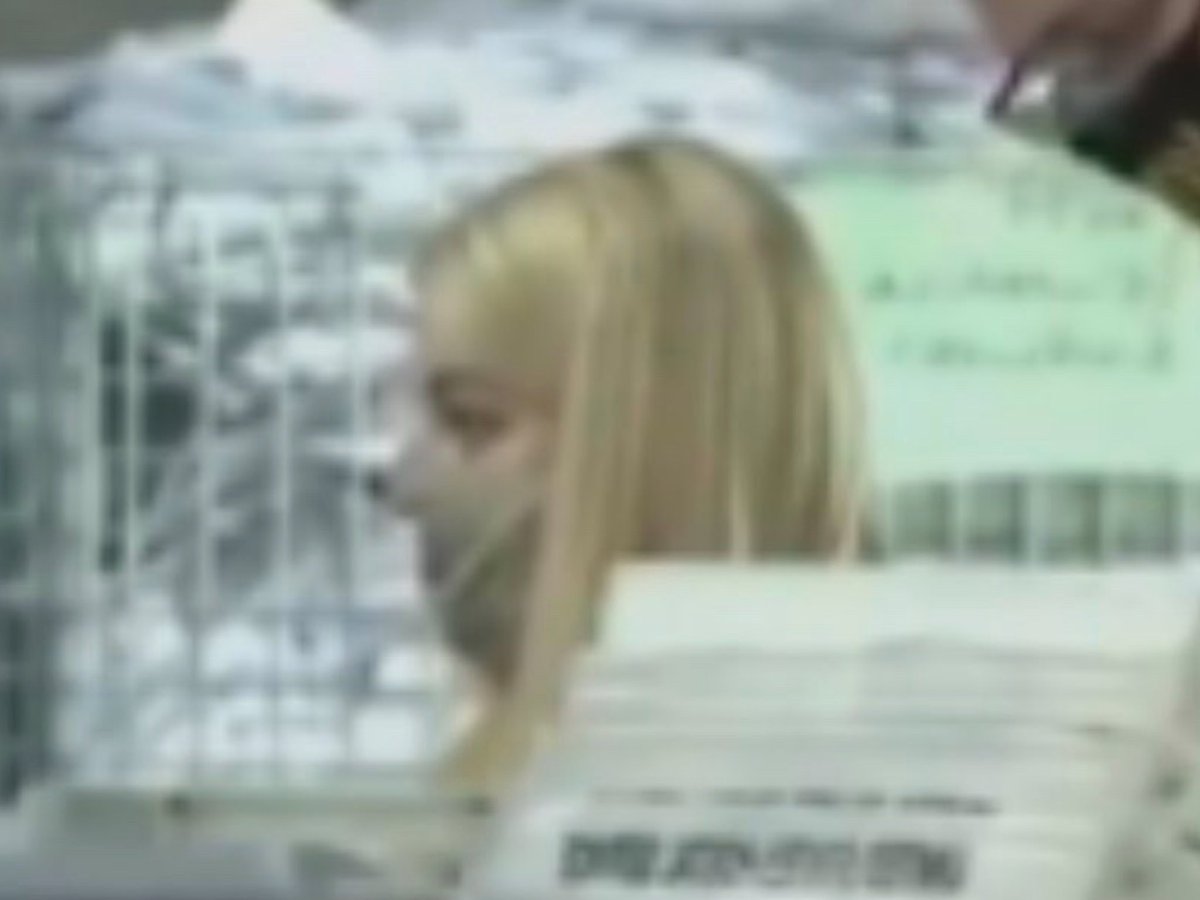 Turns out Elena and Jen are quite the dynamic duo but of course they were not the only lawyers democrats districts enjoyed. The ACLU of Georgia recruited attorneys to act as Poll Workers and were there to serve as deputy REGISTRARS.  https://www.acluga.org/en/our-work/poll-worker-recruitment-program-resourcesBusy, busy, busy