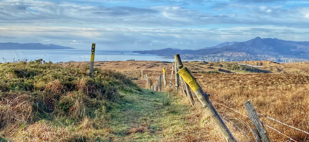 Wild Atlantic Family tweet media