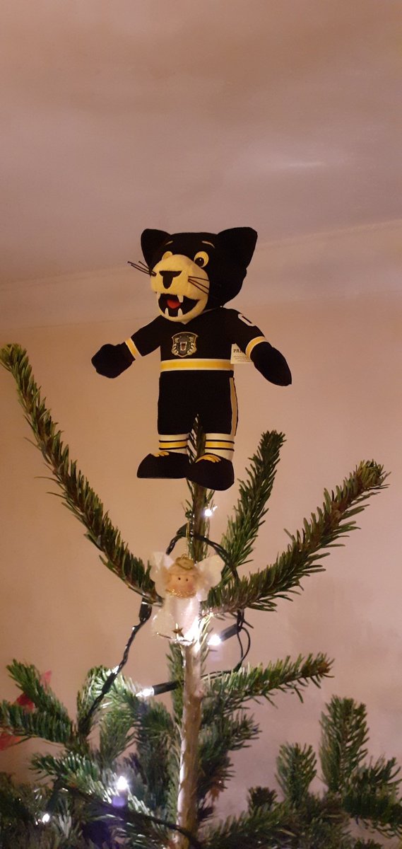 Tree is up.....she insisted on having an Angel on the tree .... but Paws has to take pride of place on top of the Christmas Tree !!! <a href="/PanthersIHC/">Nottingham Panthers</a> <a href="/Panthersmascot/">Paws</a>