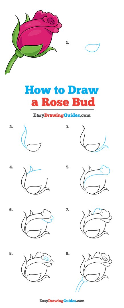 Easy, Step-by-step Rose Drawing for Kids - Really Easy Drawing Tutorial