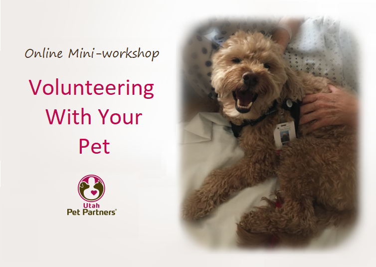 UtahPetPartners's tweet photo. Free online class: Volunteering With Your Pet at 6 pm MST, Jan. 6, 2021. Learn about the @pet_partners Therapy Animal program &amp; volunteering with your pet in Utah. Register for class with a free volunteer page at https://t.co/wTYb4U8Qlf

#utahpetpartners #therapyanimalsofutah https://t.co/5nSIz1lYGG