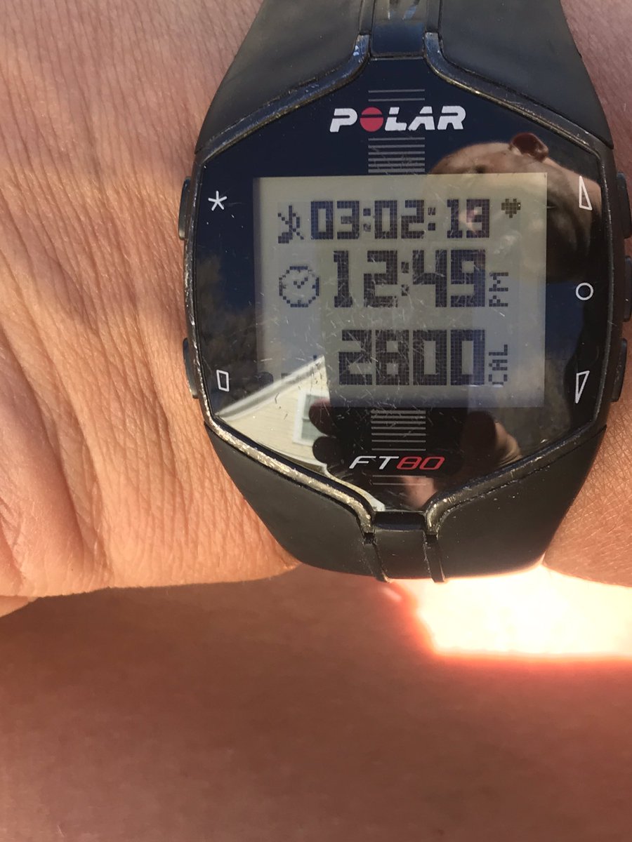 Metabocat1's tweet photo. Ohhhh, yeah!!! About an hour of Metabolic Catapulting &amp; a 5 mile dog walk 🐶👨🏼‍🦲 https://t.co/Amhby6W8Zv