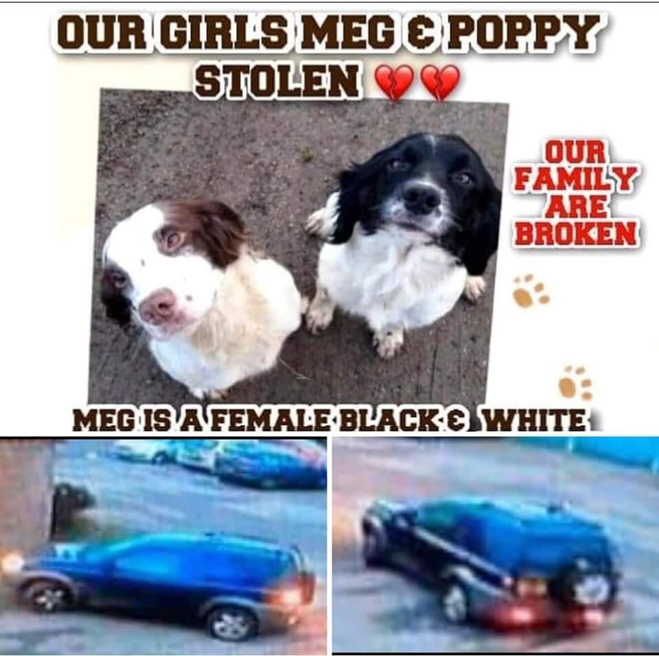 MolliePug's tweet photo. 🆘💕🆘 Fb MEG and POPPY💕💕

❌DO YOU RECOGNISE THIS CAR?❌

on Friday 27th November at approximately 4pm two men aged about 40 were in the area in a dark blue, 3 door Freelander 1,TD4 commercial acting suspiciously. The actual vehicle shown below. The driver was described as https://t.co/Mdmw18FBhG