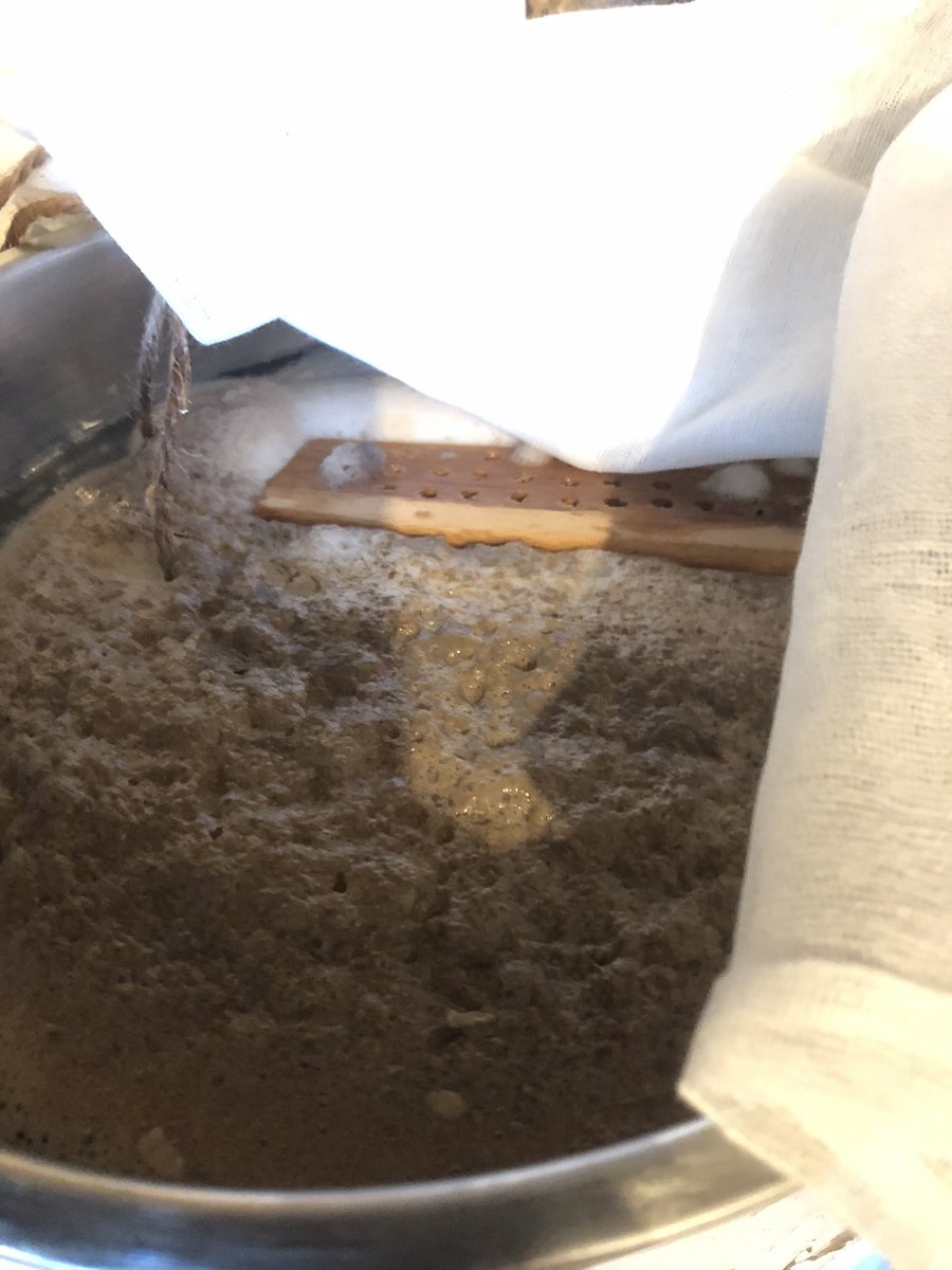 Growing Beer tweet media