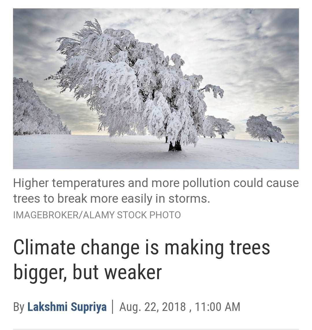 Climate change science in a nutshell. A meta thread. #climatechange  #ClimateAction    #climatebrawlClimate change is making trees bigger and shorter.
