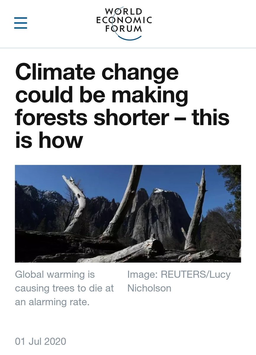 Climate change science in a nutshell. A meta thread. #climatechange  #ClimateAction    #climatebrawlClimate change is making trees bigger and shorter.